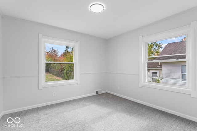 empty room with crown molding, a healthy amount of sunlight, and carpet floors