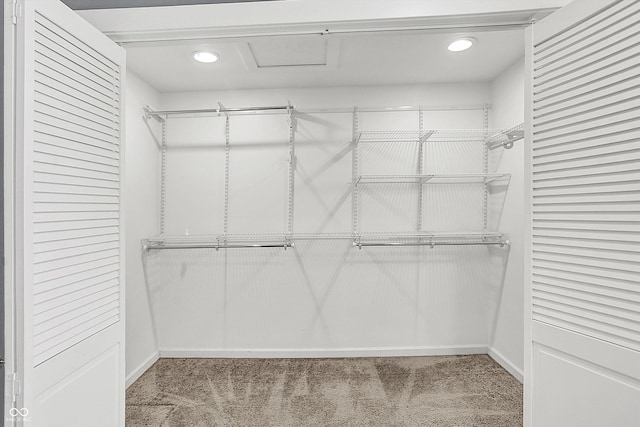 spacious closet with light carpet