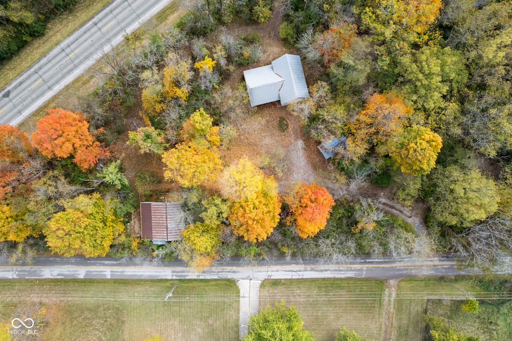 bird's eye view