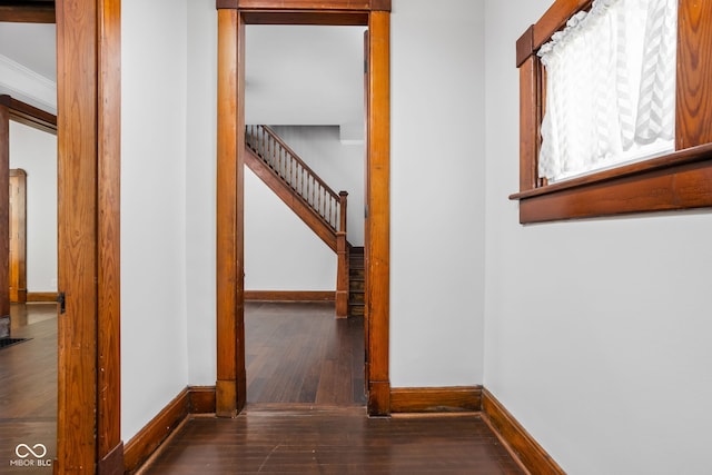 hall with crown molding and dark hardwood / wood-style floors