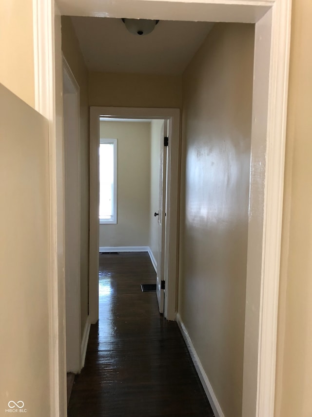 hall featuring dark wood-type flooring