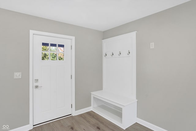 mudroom featuring wood-type flooring