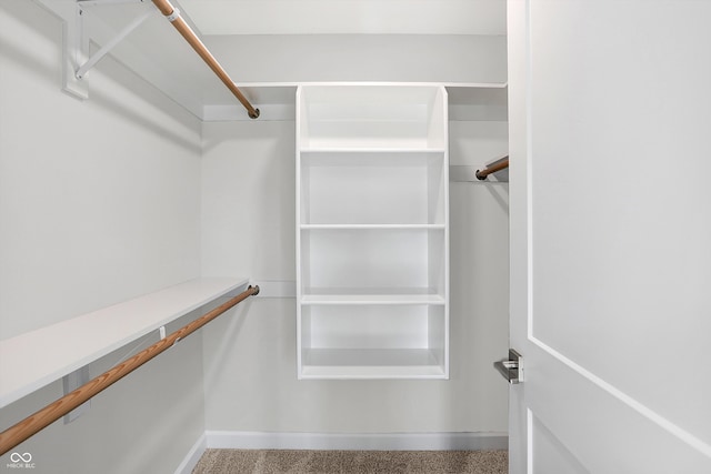 walk in closet with carpet floors