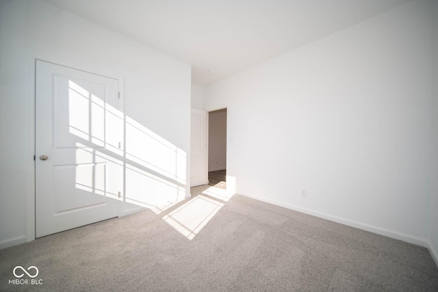 unfurnished room with carpet flooring and a wealth of natural light