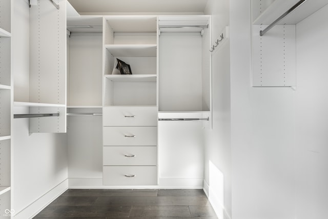 walk in closet featuring dark hardwood / wood-style flooring