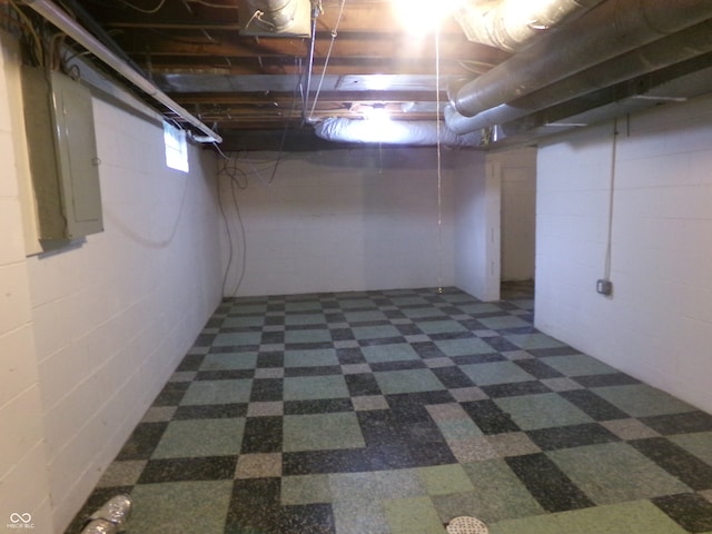 basement with electric panel