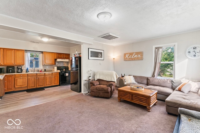 living room featuring light hardwood / wood-style floors, crown molding, a textured ceiling, and sink