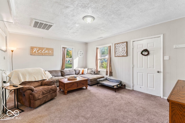 carpeted living room featuring wood walls and a textured ceiling