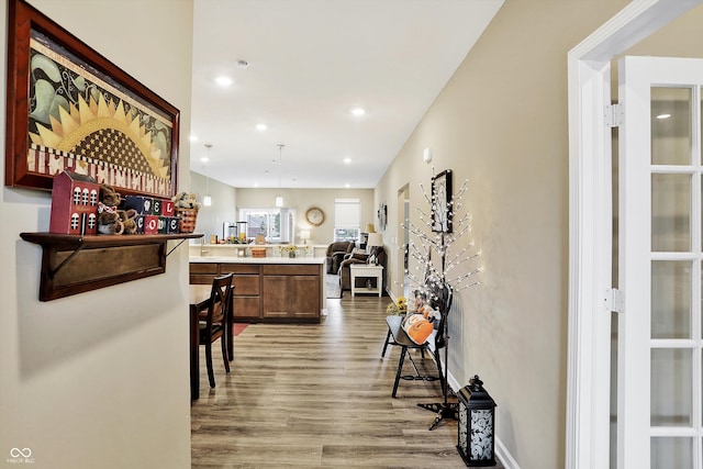 hallway featuring wood-type flooring