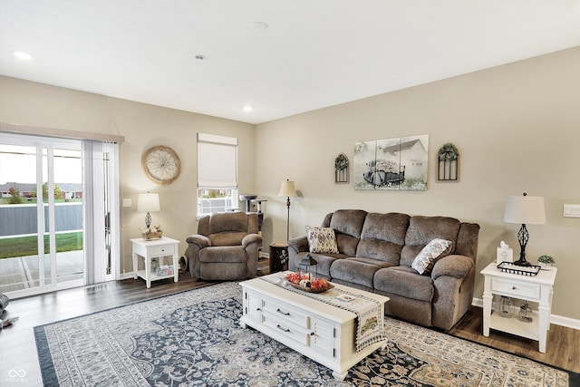 living room with hardwood / wood-style flooring and plenty of natural light