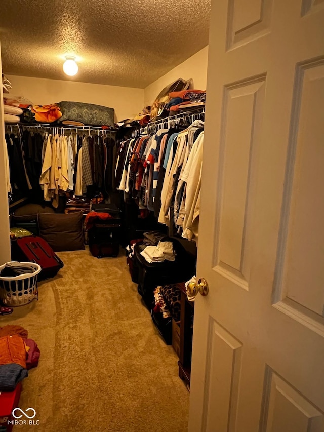 spacious closet featuring carpet floors