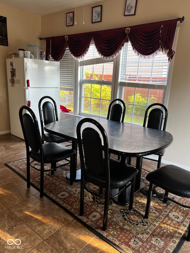 dining area with a wealth of natural light