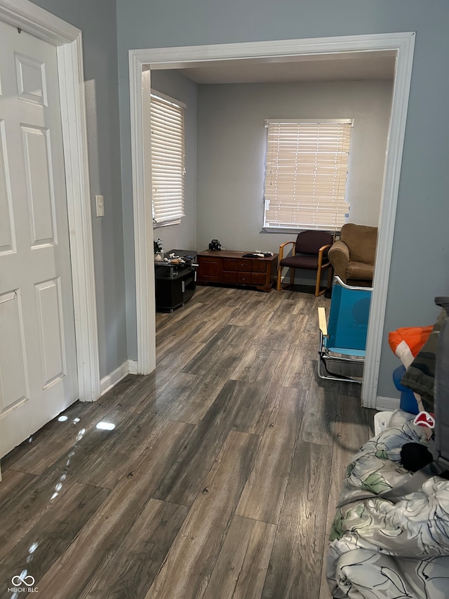 interior space featuring dark wood-type flooring