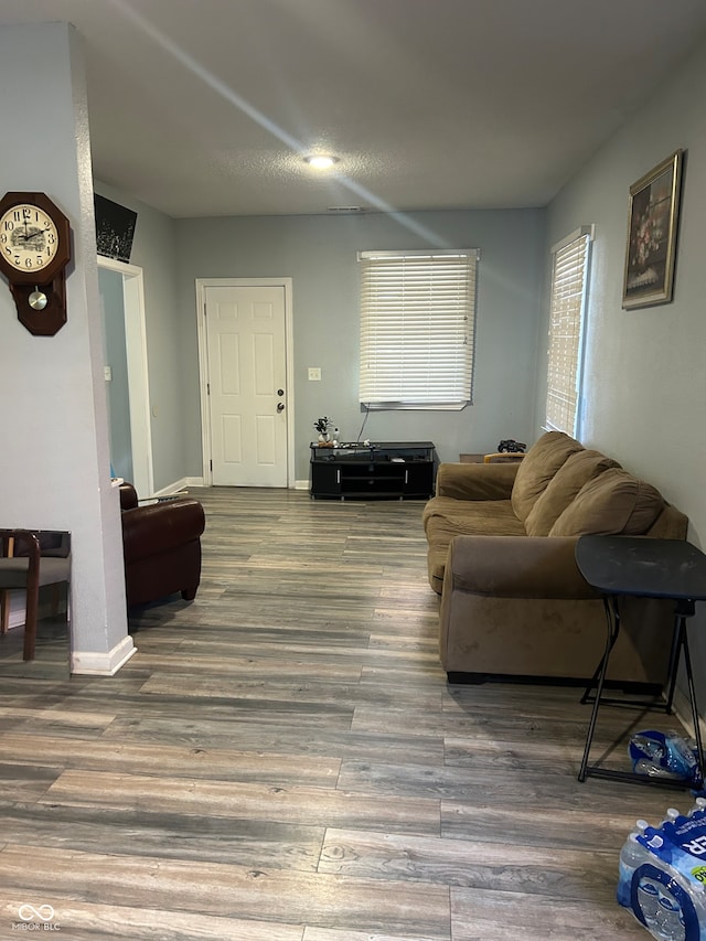 living room with hardwood / wood-style flooring