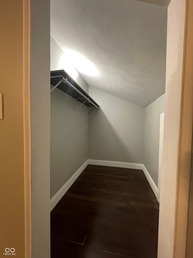 spacious closet featuring dark hardwood / wood-style flooring