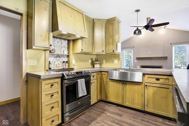 kitchen featuring stainless steel appliances, premium range hood, vaulted ceiling, and a wealth of natural light