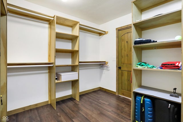 walk in closet featuring dark hardwood / wood-style flooring