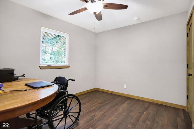 office featuring ceiling fan and dark hardwood / wood-style flooring