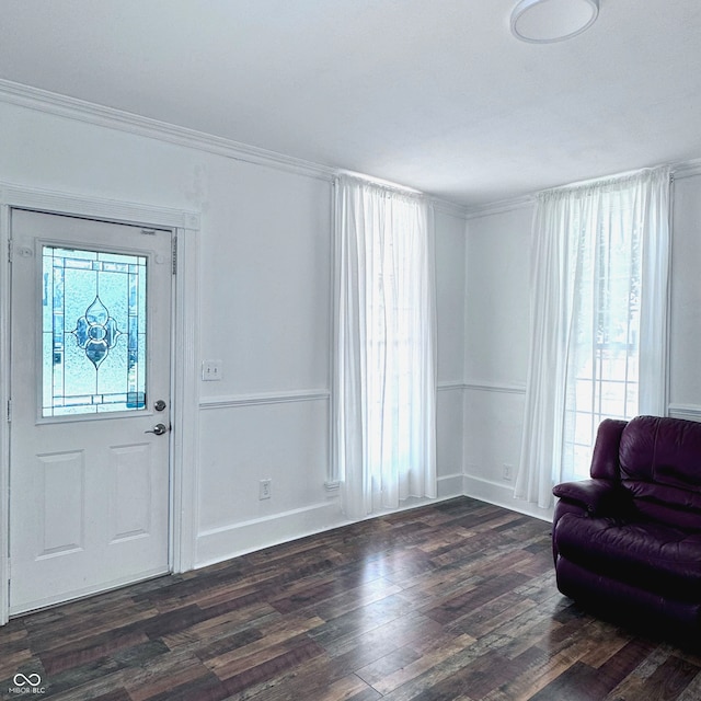 foyer entrance with crown molding and dark hardwood / wood-style floors