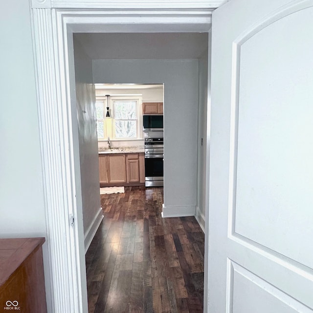 corridor with sink and dark hardwood / wood-style flooring