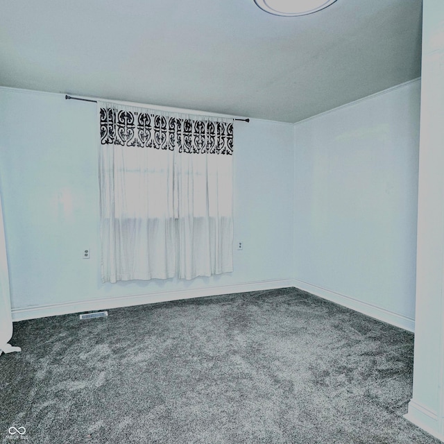 spare room featuring carpet floors