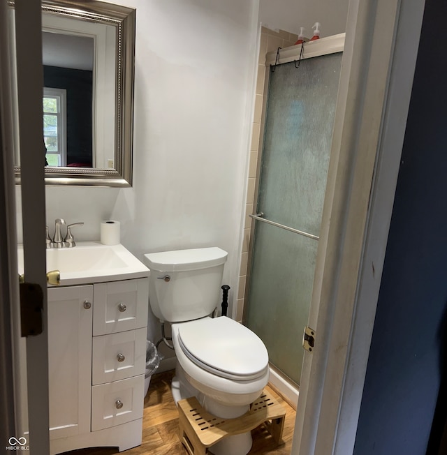 bathroom featuring an enclosed shower, vanity, and toilet