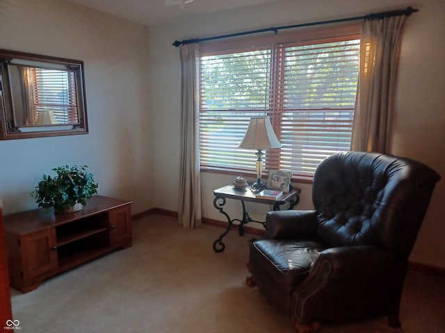 sitting room with light carpet