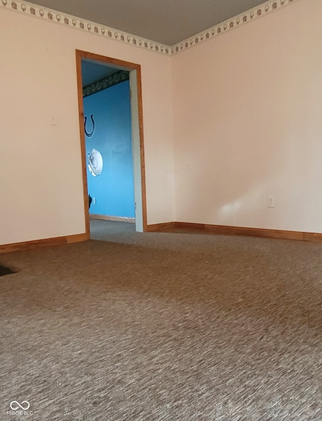 spare room featuring carpet