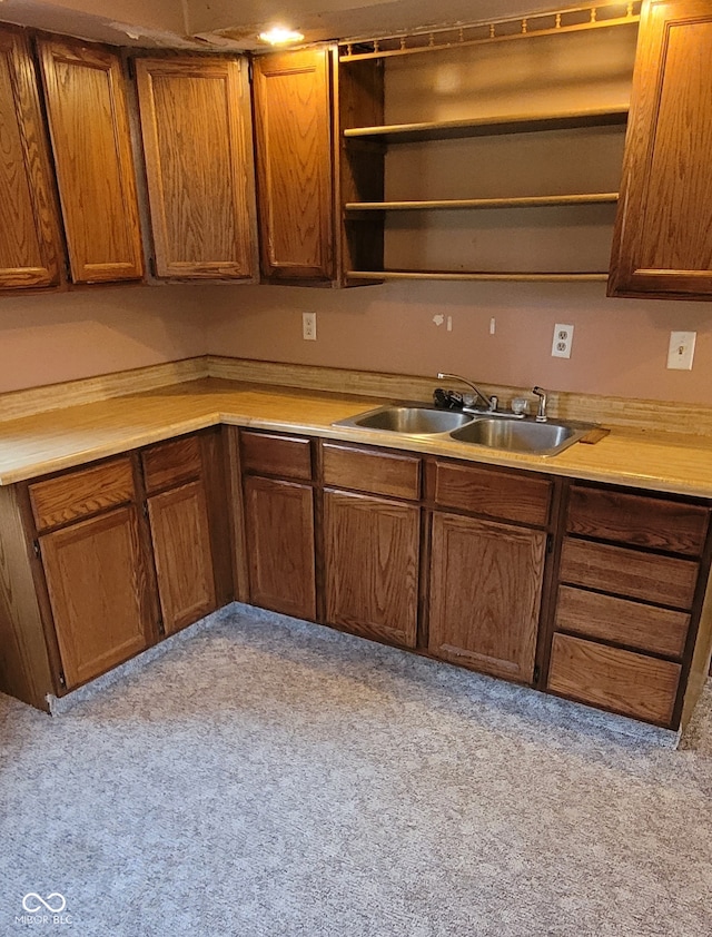 kitchen with light colored carpet and sink