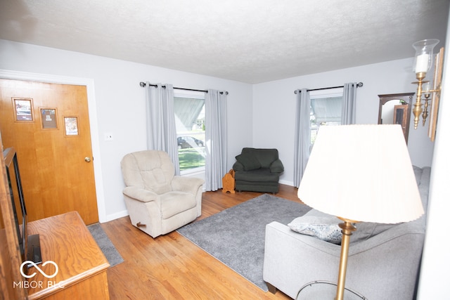 living room with a textured ceiling and wood-type flooring