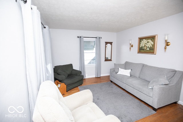 living room featuring a textured ceiling and wood-type flooring