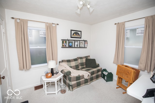 living room featuring a textured ceiling and carpet flooring