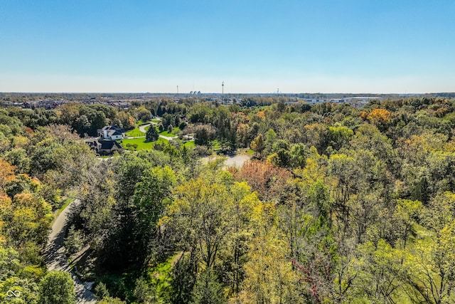 6330 Mayfield Ln, Zionsville, IN 46077 - photo 6
