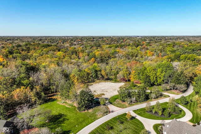6330 Mayfield Ln, Zionsville, IN 46077 - photo 5