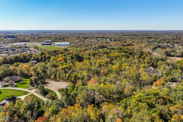 6330 Mayfield Ln, Zionsville, IN 46077 - photo 11