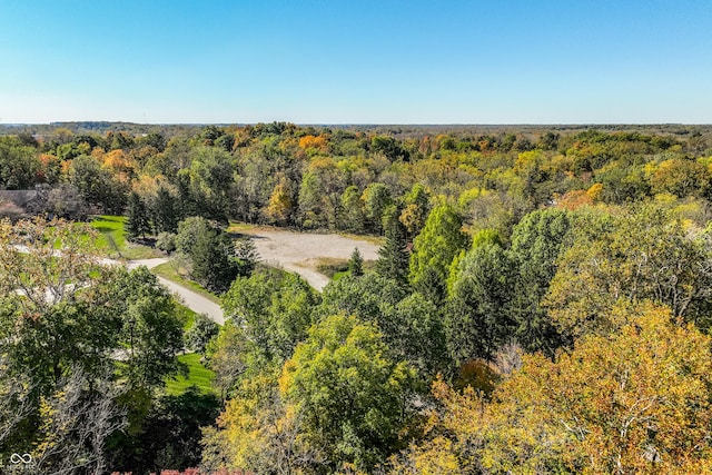 6330 Mayfield Ln, Zionsville, IN 46077 - photo 4