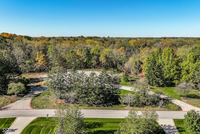 6330 Mayfield Ln, Zionsville, IN 46077 - photo 1