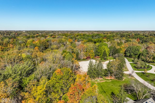 6330 Mayfield Ln, Zionsville, IN 46077 - photo 8