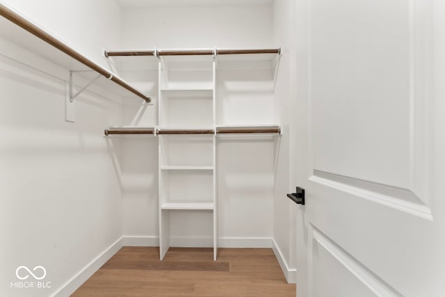 walk in closet with light wood-type flooring