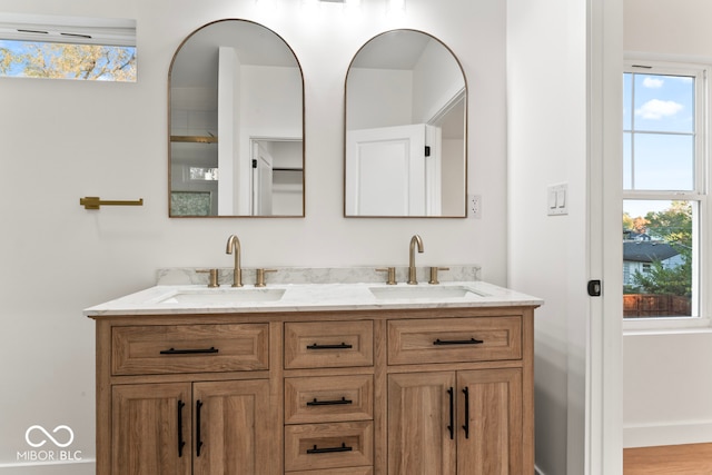 bathroom with vanity, wood-type flooring, and a wealth of natural light