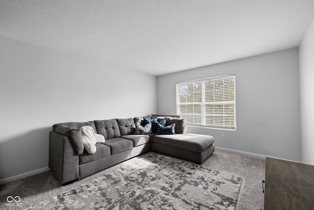 living room featuring a textured ceiling and carpet flooring