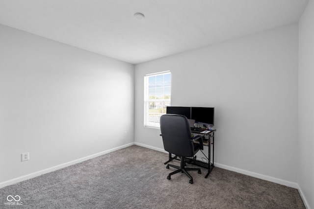 home office featuring carpet flooring