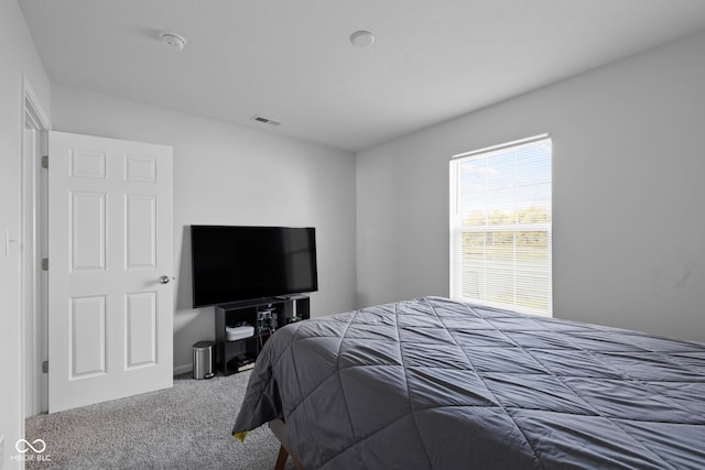 bedroom with carpet floors