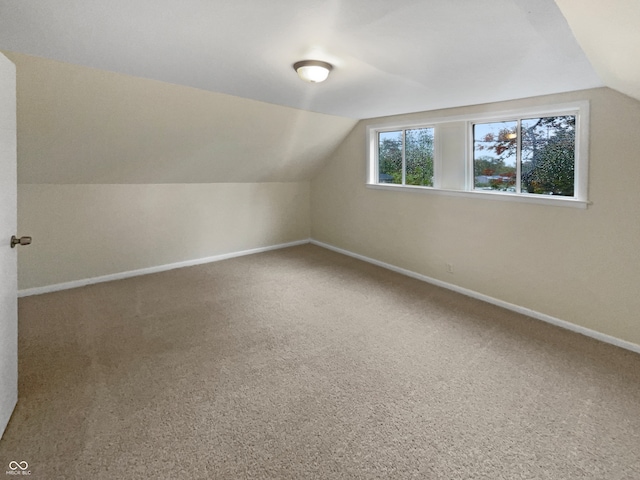 bonus room featuring carpet floors and vaulted ceiling