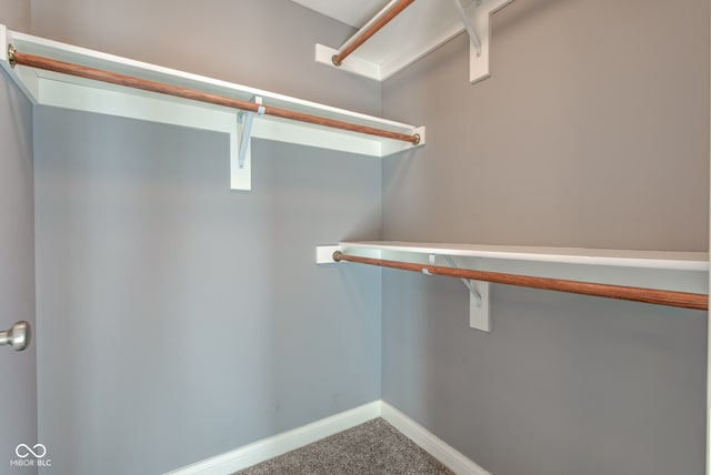 walk in closet featuring carpet flooring