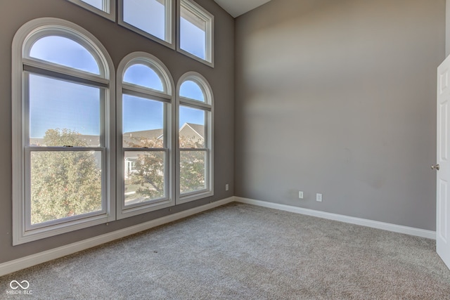 unfurnished room with carpet floors and a healthy amount of sunlight