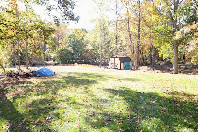 view of yard featuring a storage unit