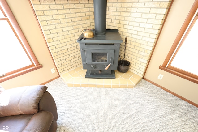 room details with carpet flooring and a wood stove