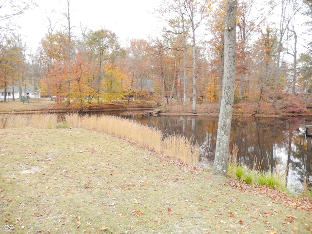 view of yard with a water view