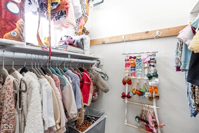 view of spacious closet